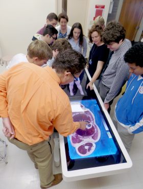 Medical professionals and students browsing 3D visualizations of the human body on the Anatomage Table for advanced anatomy education and medical learning.